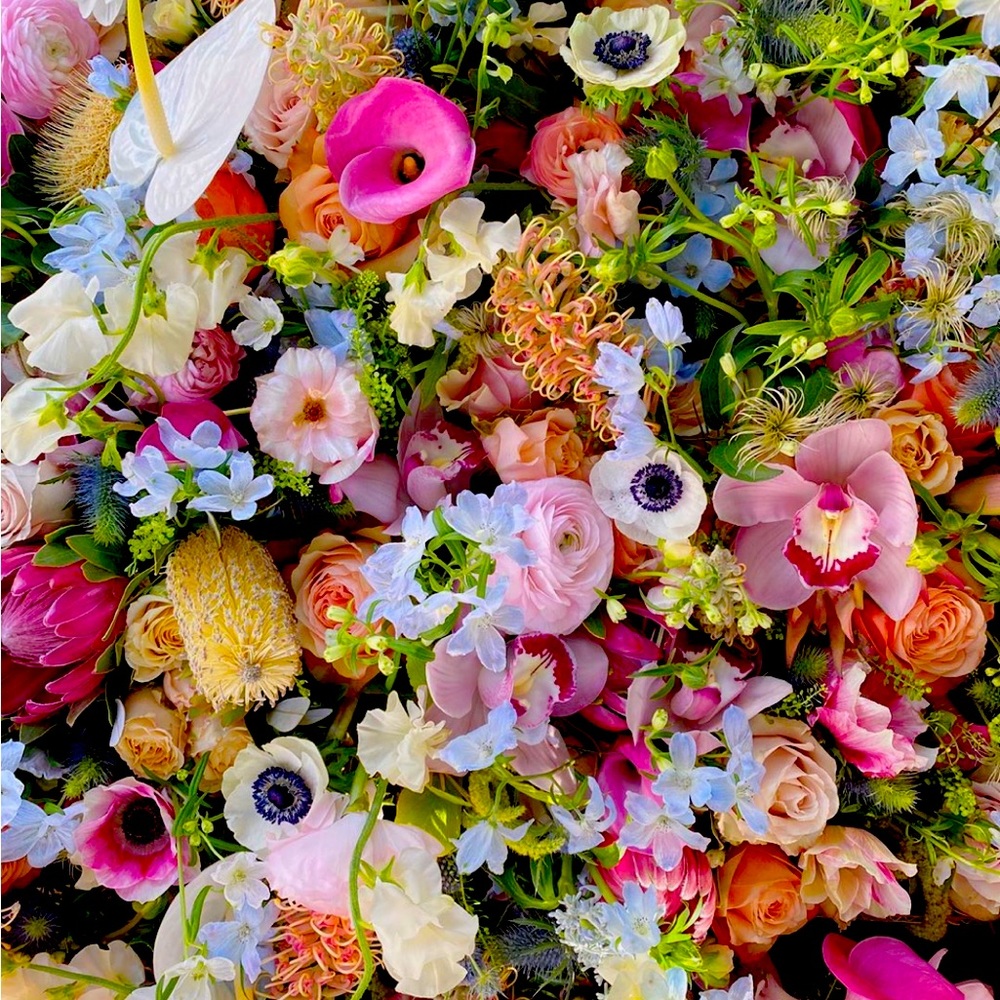 Meet your Posher, Kristen